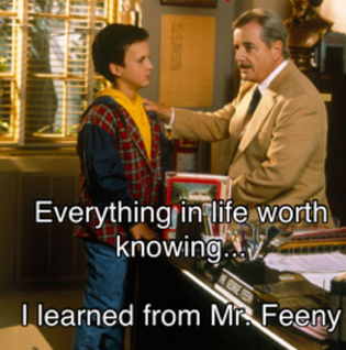 Mr Feeny